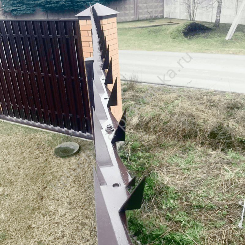 шипы на забор от воров окрашенные